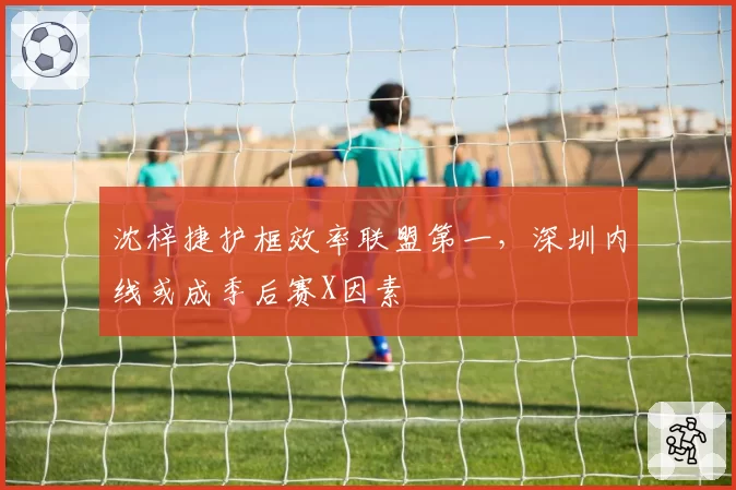 沈梓捷护框效率联盟第一，深圳内线或成季后赛X因素