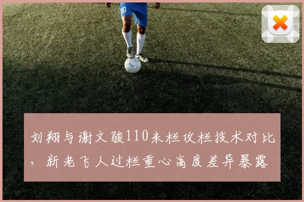 刘翔与谢文骏110米栏攻栏技术对比,新老飞人过栏重心高度差异暴露代际变化